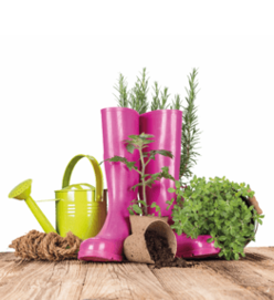 Espace Jardin